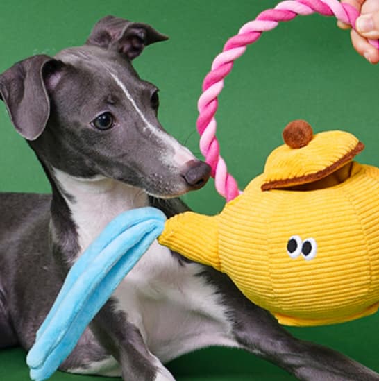 A través de la estrategia de marketing de tiktok, expandió con éxito el mercado tailandés y aumentó la influencia de la marca.