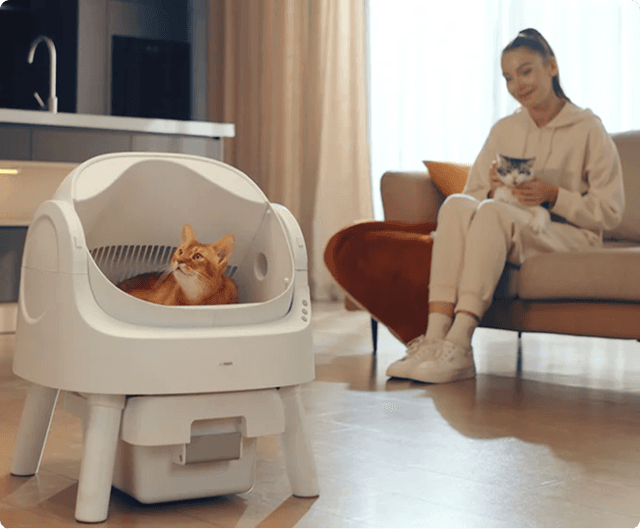 ¡¡ en 99 años, las chicas comenzaron un negocio y fueron al mar, ganando la categoría tiktok top1 durante 7 meses en línea!