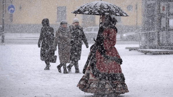 ¡¡ los pedidos se dispararon un 290%! ¡¡ los productos de nicho chinos se agotaron en Rusia y los vendedores ganaron más dinero!