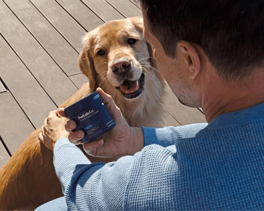 TikTok,クロスボーダー電子商取引