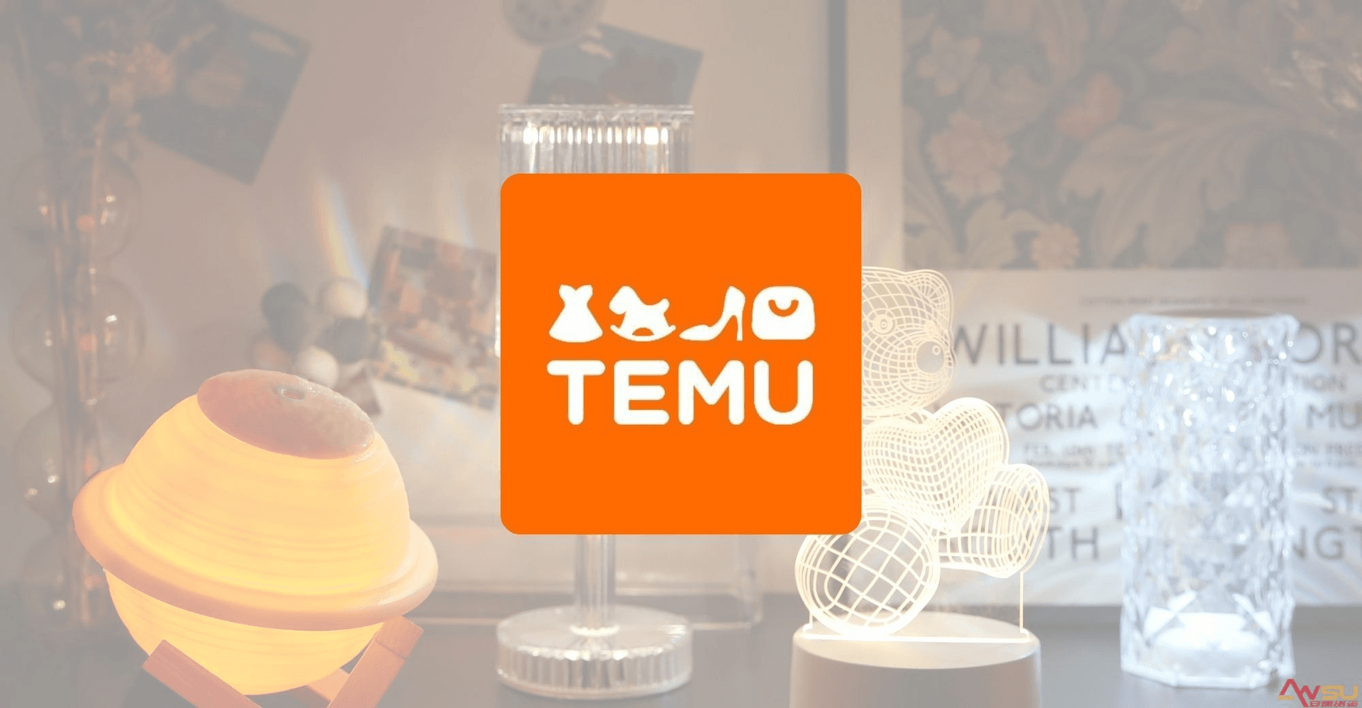 土耳其电商“变天”？TEMU突停跨境业务