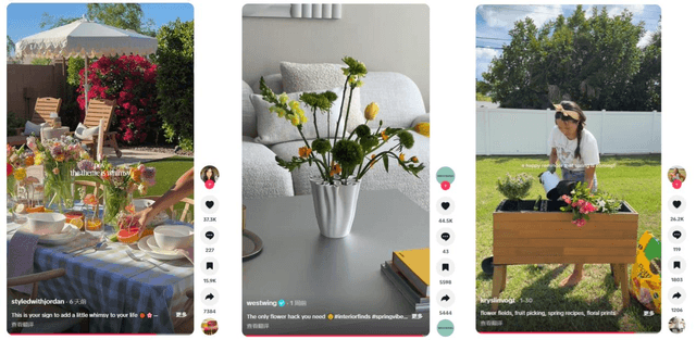 TikTok, cross-border e-commerce