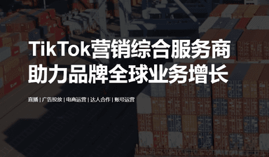 Liste des prestataires de services tiktok