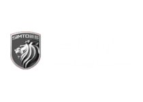 为国际市场提供高品质的中国门解决方案