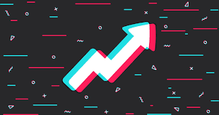 How to download TikTok from the official TikTok download portal?  One move to help you easily handle it