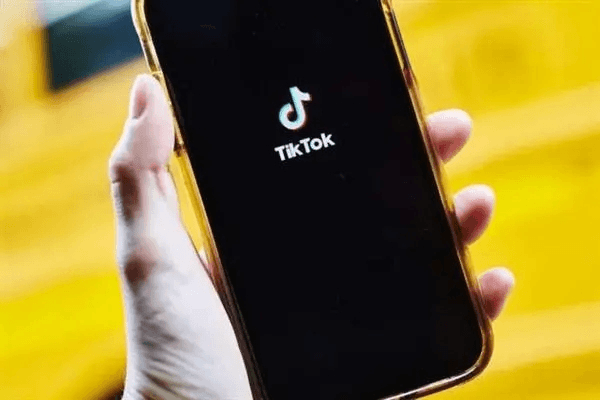 TikTok advertising opens up new opportunities, and the short video industry is expected to further develop
