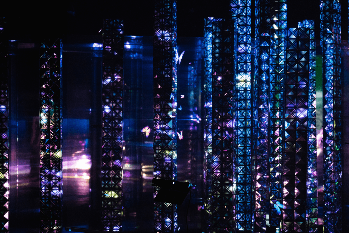 E-light｜迅速な構築、個性的なカスタマイズ、正確なマーケティング向上による転換