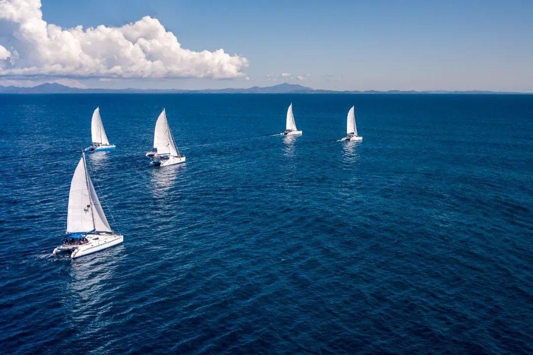 TikTok Help!  Traditional factories seized the opportunity of the "the Belt and Road", and overseas orders surged!