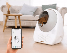 The global love economy frenzy is coming!   A dark horse has emerged in the niche pet market, with monthly sales of millions of dollars!