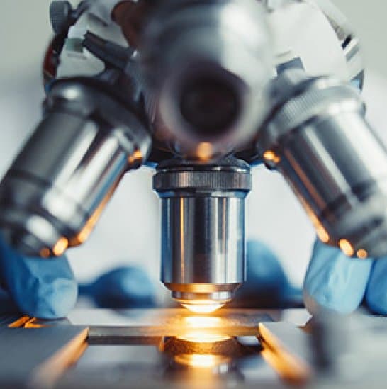 Potenzielle Verbraucher durch den Einfluss und die Kommunikation in sozialen Medien zu gewinnen