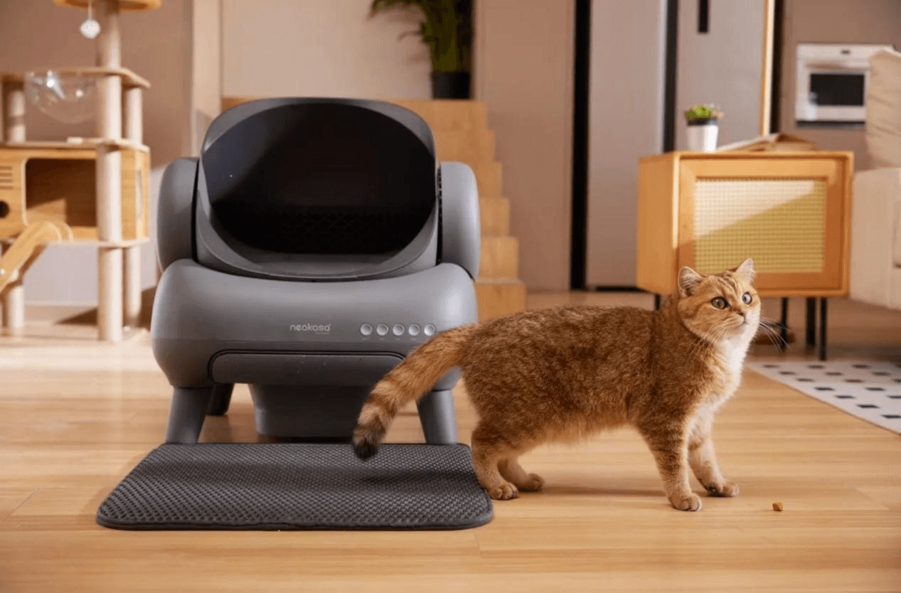 Relying on pet supplies to turn the tide, it sold single items to millions, and cross-border sales revitalized itself