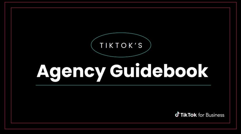 TikTok Proxy Guide Manual