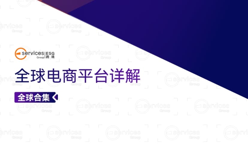 Global E-commerce Platform Overview - ESG Cross border