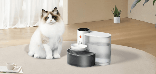 仅用三天，销量怒涨753.8%！什么产品有这么强的吸引力？