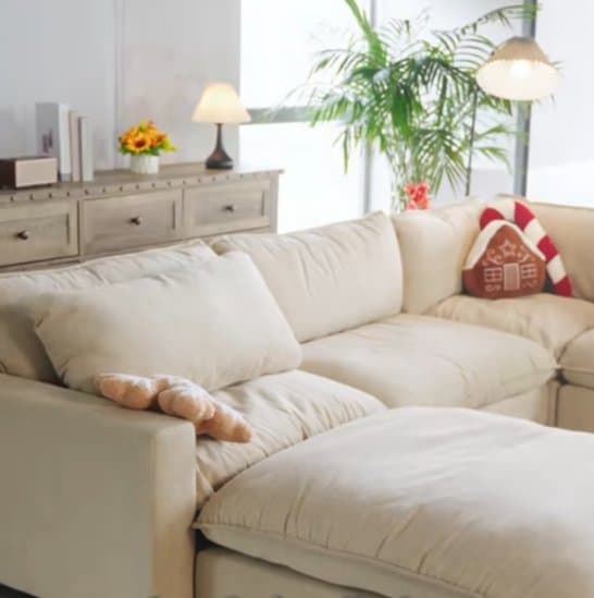 Establecer una sólida red de ventas para ganar la confianza y el reconocimiento de los clientes extranjeros