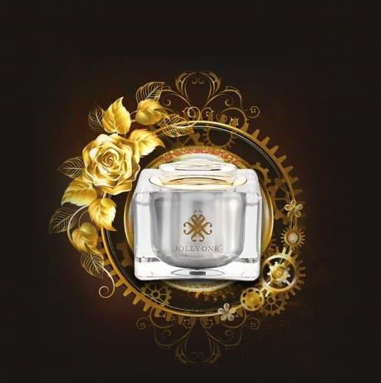 Successfully introduced a rich line of beauty and personal care products to the Vietnamese market