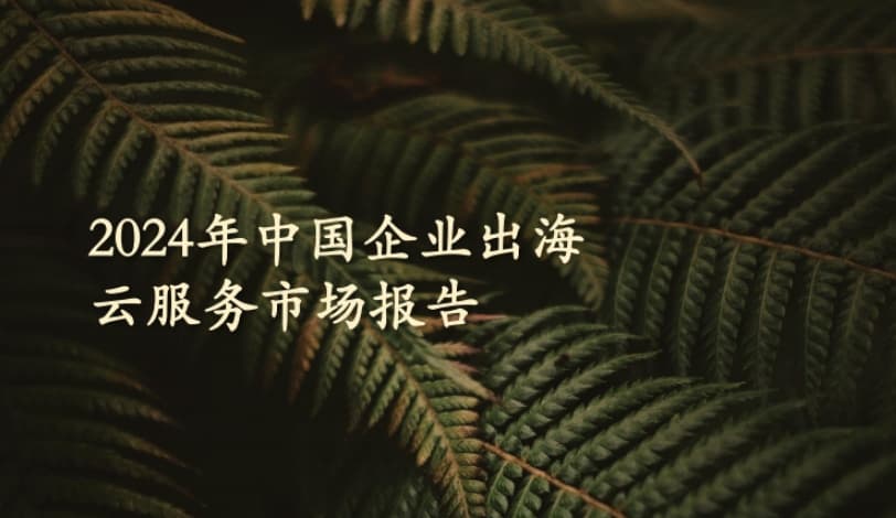 2024 China Enterprise Outbound Cloud Service Market Report