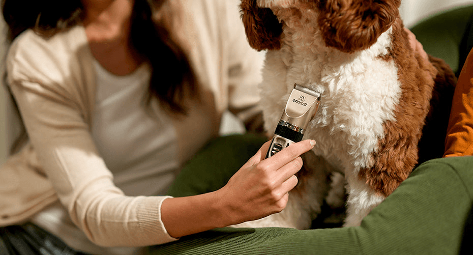 出海品牌靠宠物理发器月入578万美金！宠物赛道还在持续发力