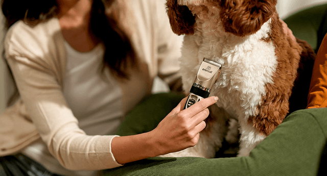 出海品牌靠宠物理发器月入578万美金！宠物赛道还在持续发力