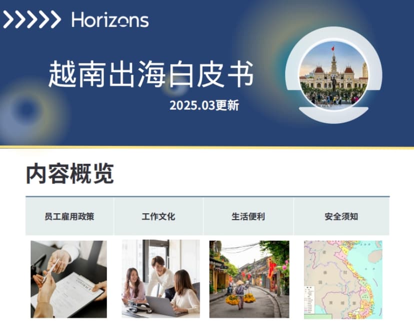 White Paper on Vietnam's Going Global in 2025