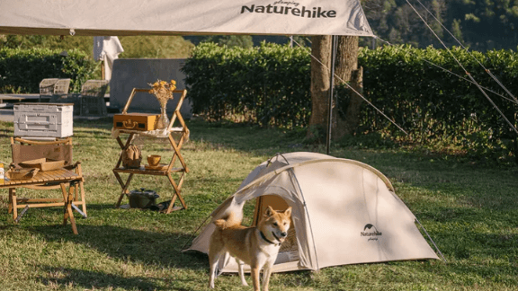 Earning 1.5 billion!  Ningbo outdoor brand quietly makes big money!