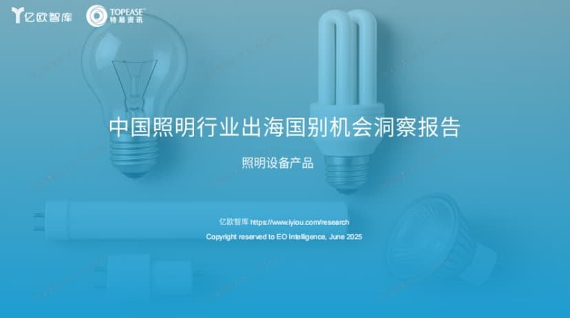 2025年中国照明行业出海国别机会洞察报告