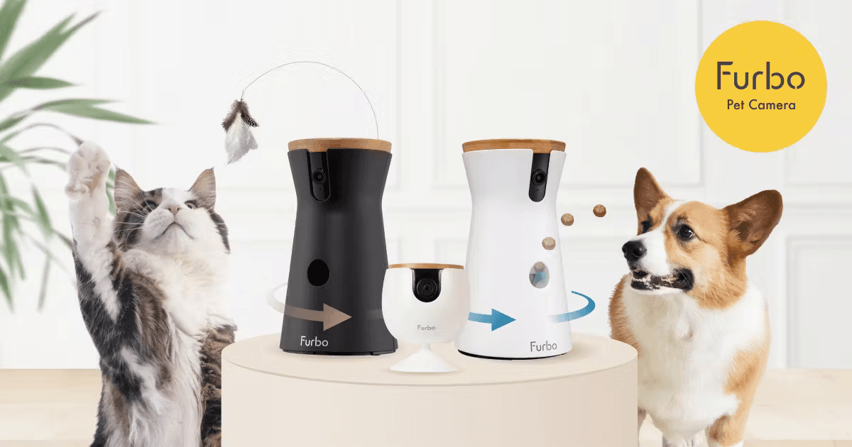 深耕一个品类十年，台湾夫妇靠宠物摄像头年入千万美金！