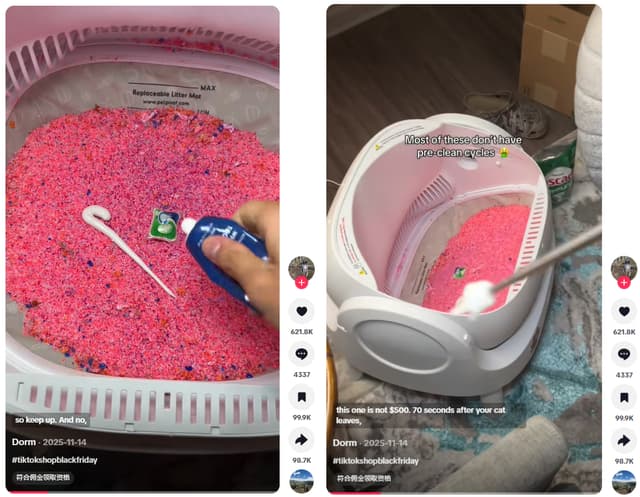 被猫带火的一门生意,它在TikTok上卖出了上千万美元