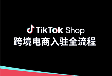 TikTok, Operaciones de comercio electrónico transfronterizo