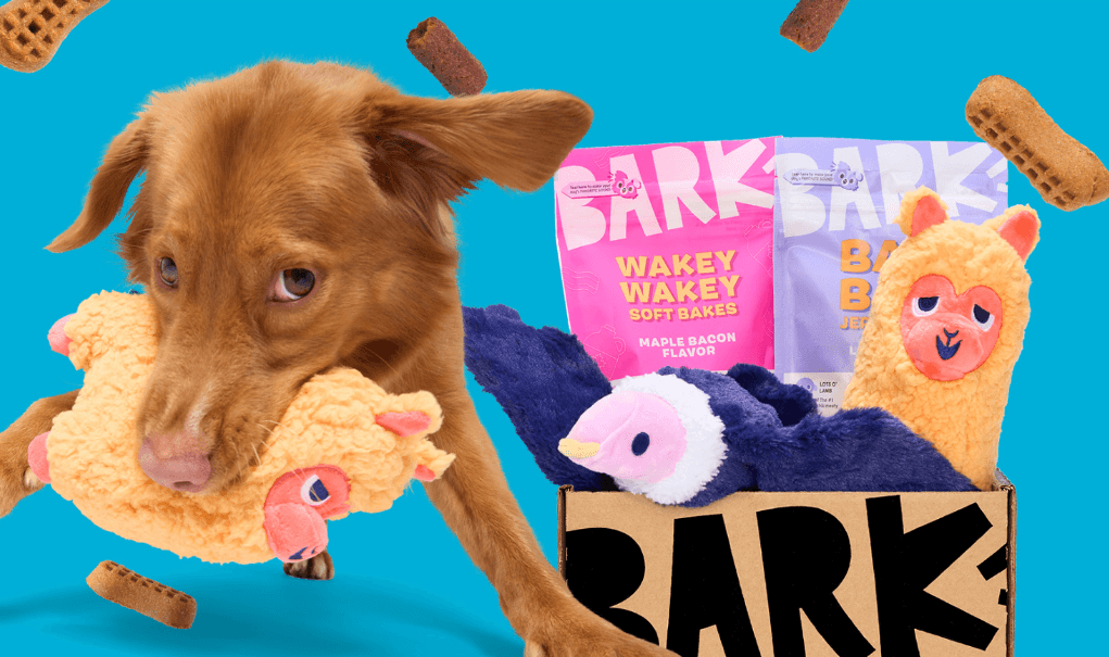 狗狗也开盲盒?这个狗界的“泡泡玛特”赚翻了!