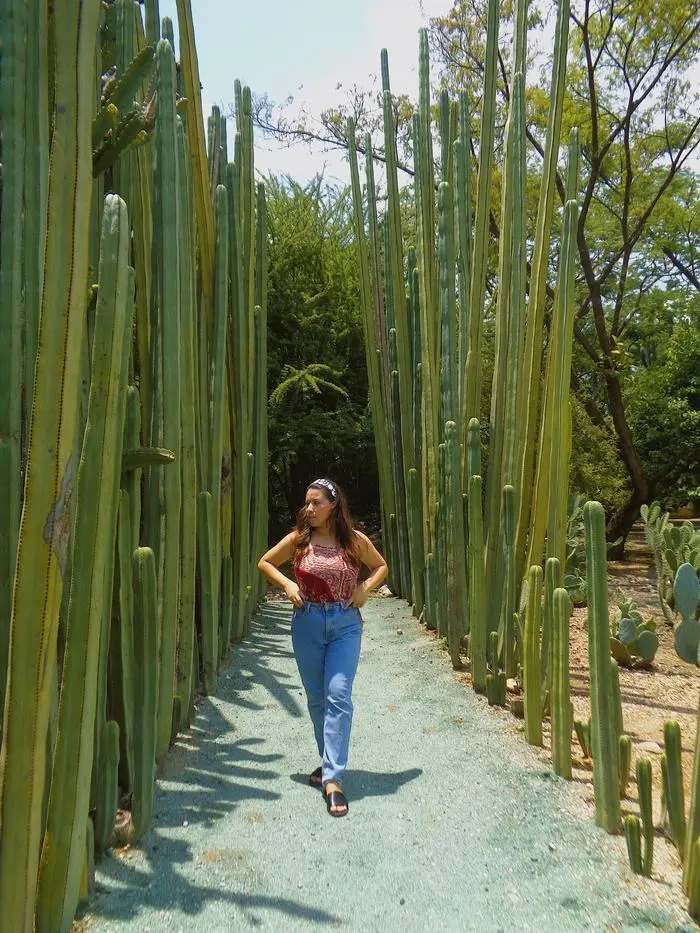 Angela-美图1