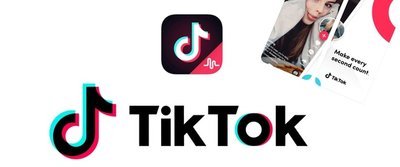 TikTok下载后怎么没网络？可能是设置的问题！