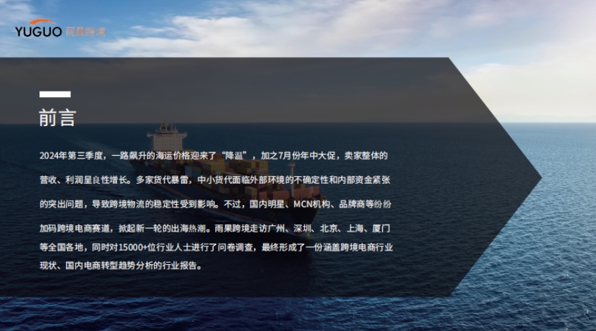2024年跨境电商行业三季度报告-2