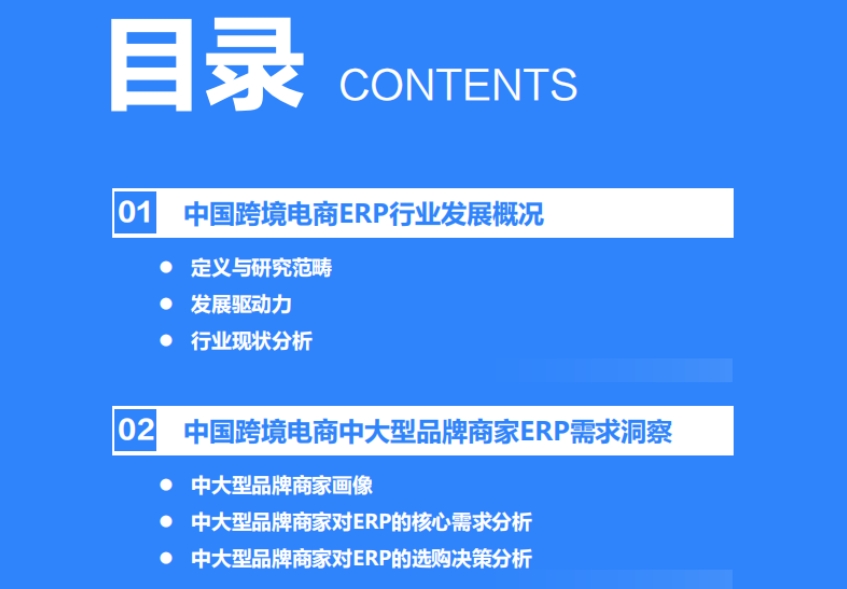 2025年中国跨境电商中大型品牌商家ERP需求洞察-4