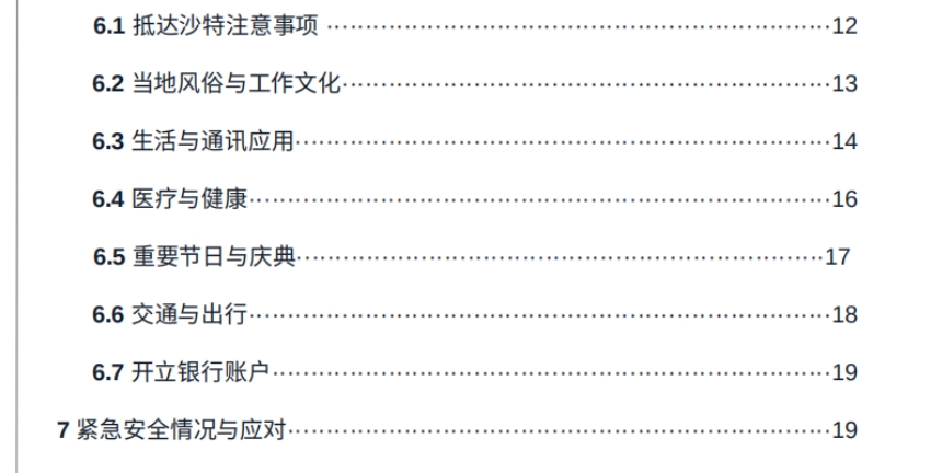 2025年沙特阿拉伯出海白皮书-4